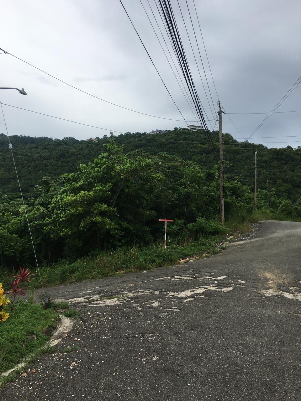 Fifth image of Lot 18 Woodlands Grove in Red Hills, St. Andrew, Jamaica - property is For Sale