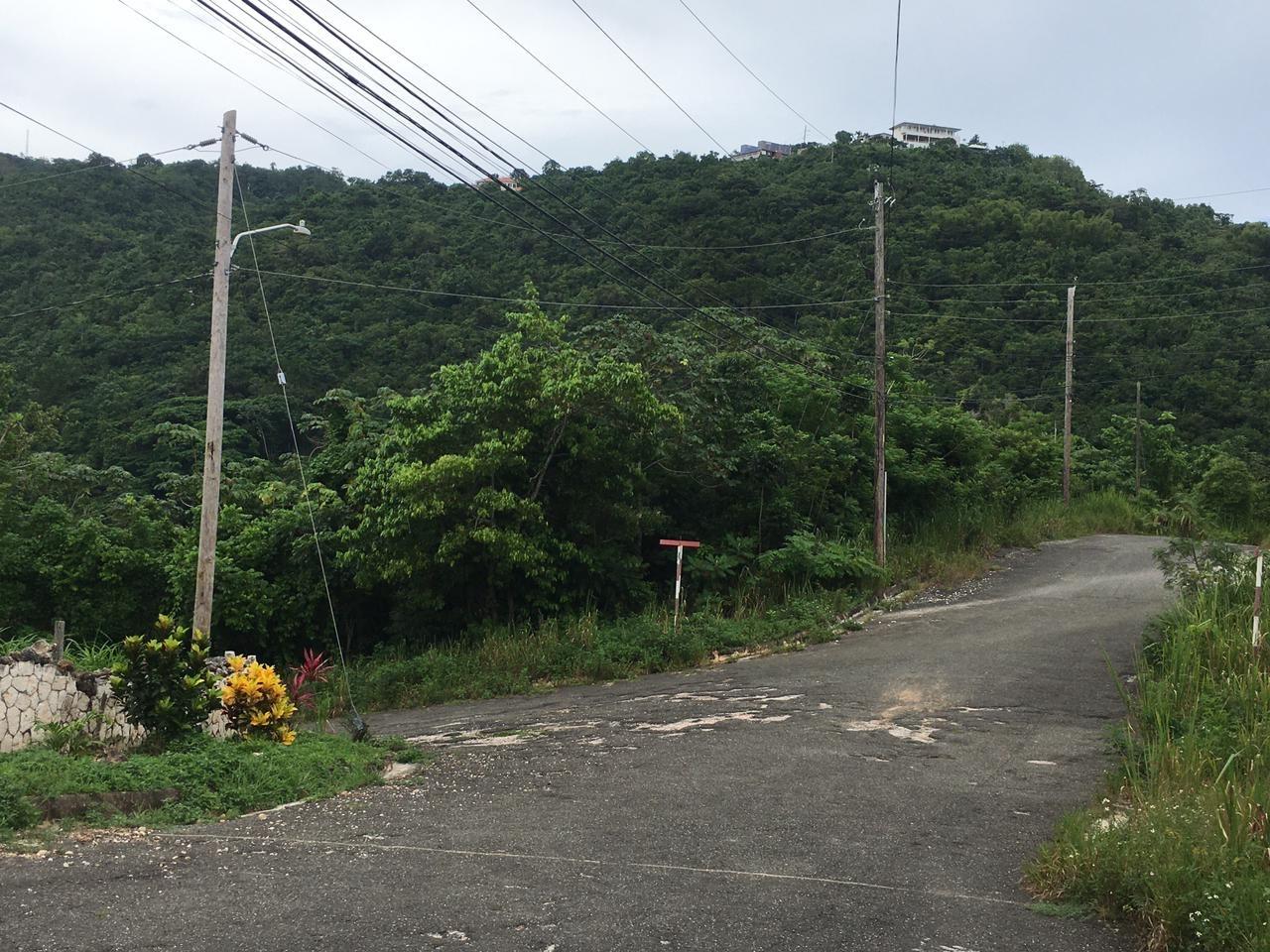 First image of Lot 18 Woodlands Grove in Red Hills, St. Andrew, Jamaica - property is For Sale