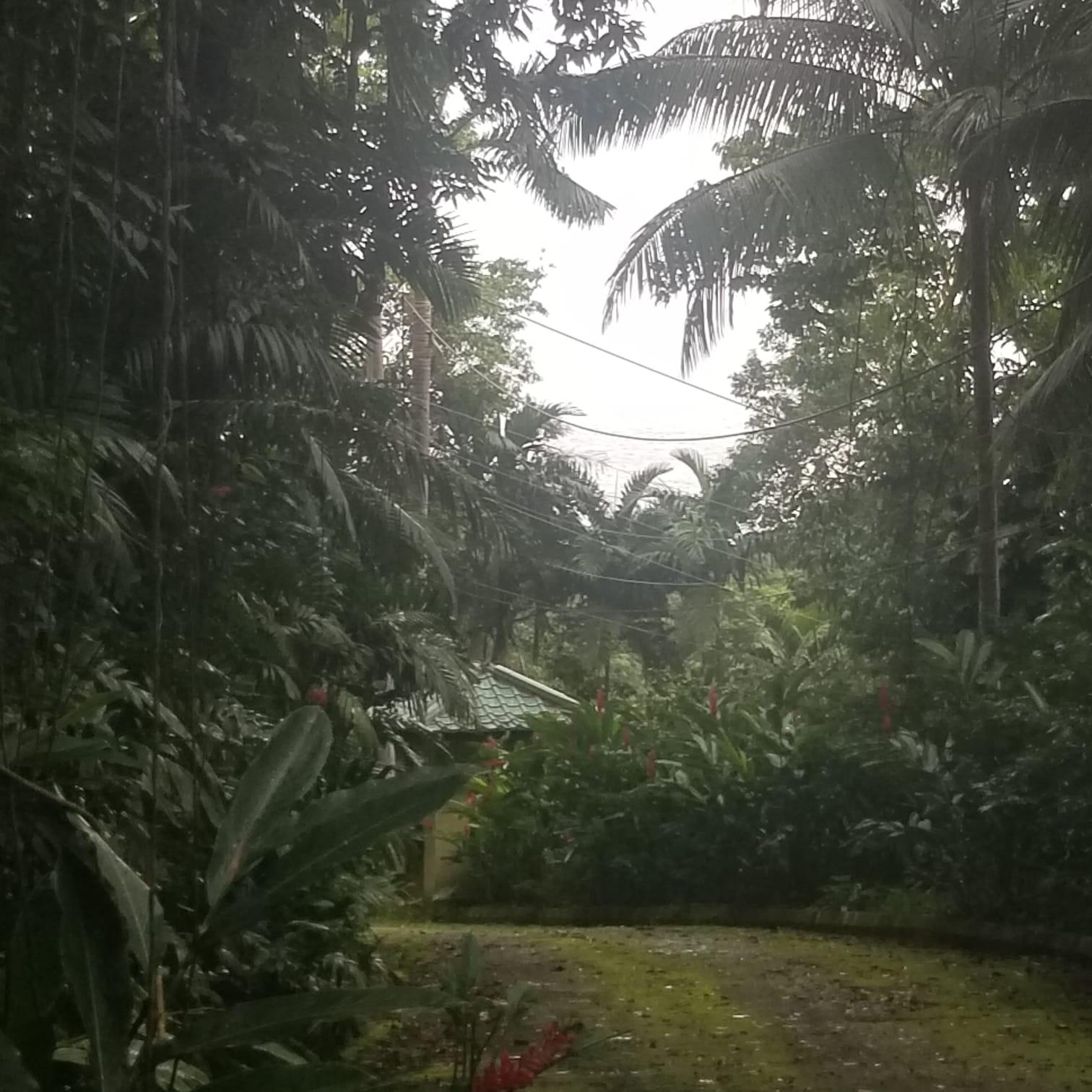 Second image of Lot 174- New Pond Road in SAN SAN, Portland, Jamaica - property is For Sale