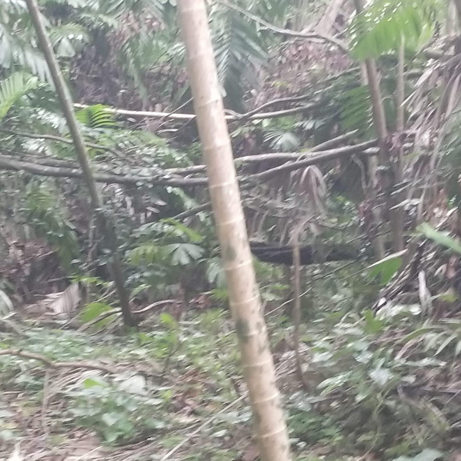Fourth image of Lot 174- New Pond Road in SAN SAN, Portland, Jamaica - property is For Sale