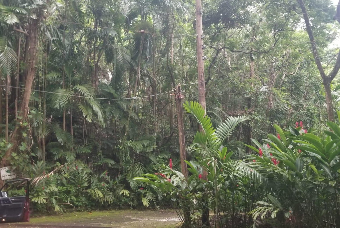 Sixth image of Lot 174- New Pond Road in SAN SAN, Portland, Jamaica - property is For Sale