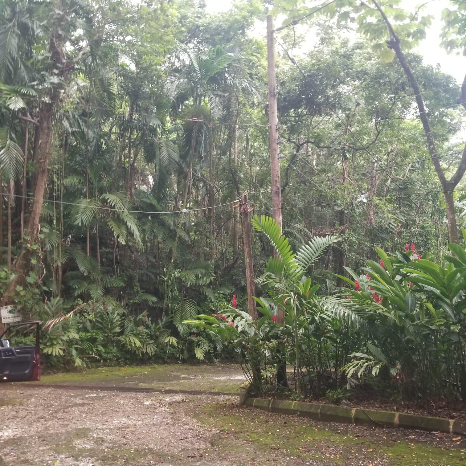 Sixth image of Lot 174- New Pond Road in SAN SAN, Portland, Jamaica - property is For Sale