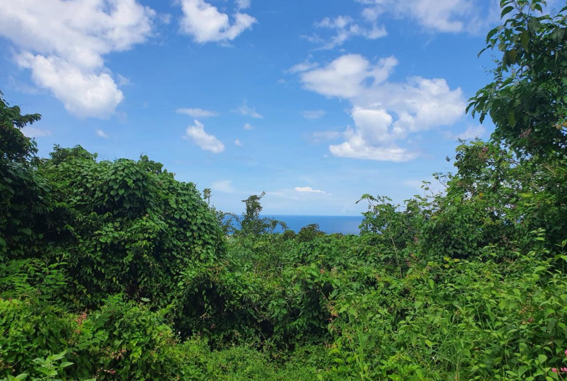 Second image of 52 Puie Drive, Cardiff Hall in Runaway Bay, St. Ann, Jamaica - property is For Sale