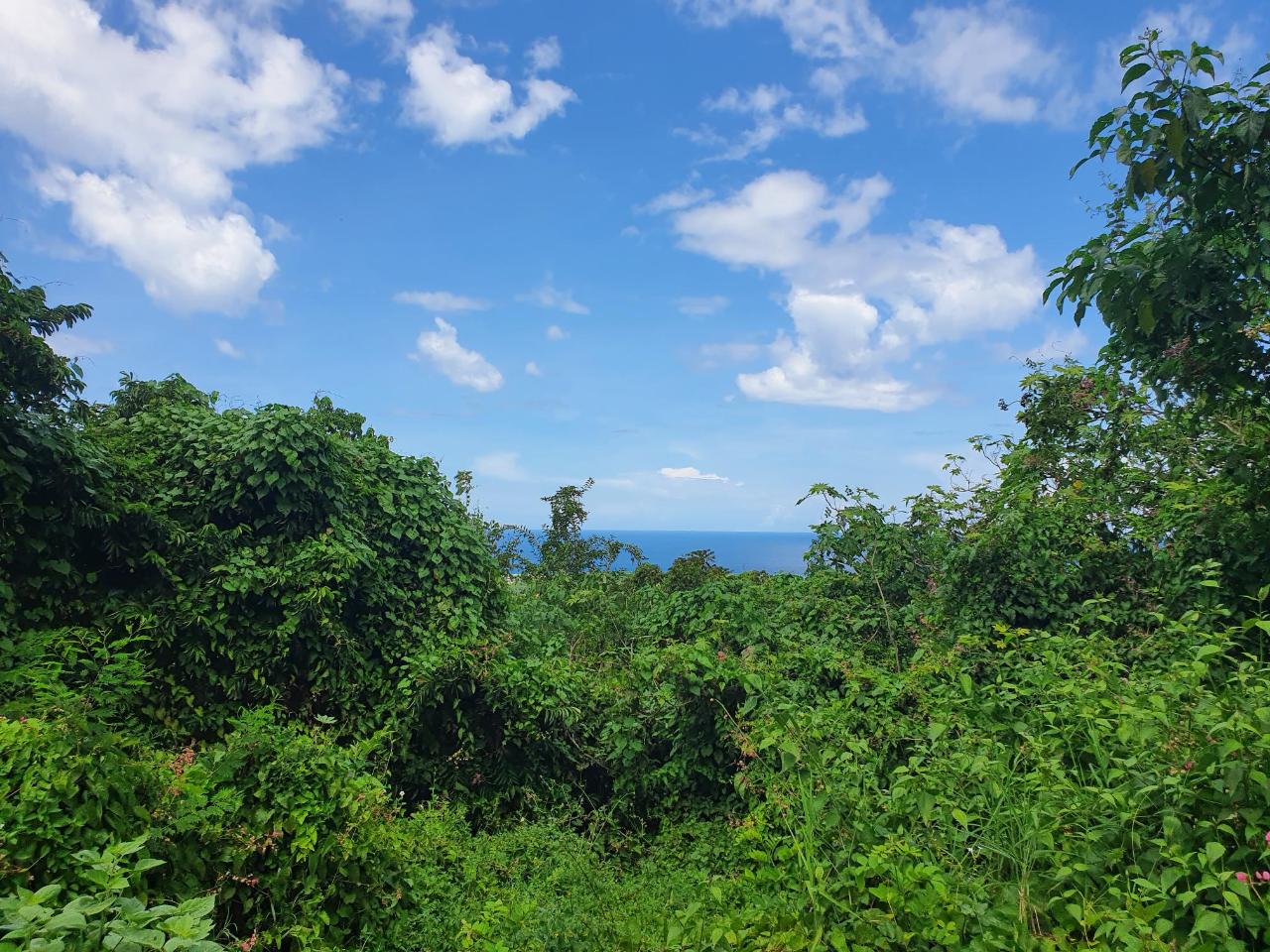 Second image of 52 Puie Drive, Cardiff Hall in Runaway Bay, St. Ann, Jamaica - property is For Sale