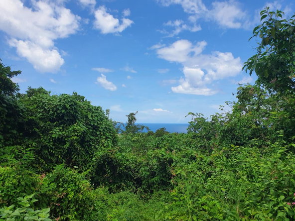 Second image of 52 Puie Drive, Cardiff Hall in Runaway Bay, St. Ann, Jamaica - property is For Sale
