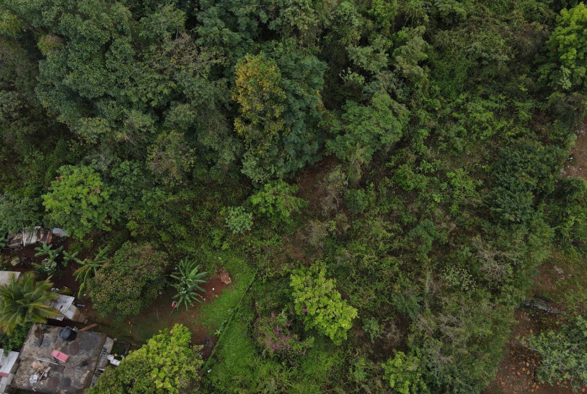Eleventh image of 52 Puie Drive, Cardiff Hall in Runaway Bay, St. Ann, Jamaica - property is For Sale