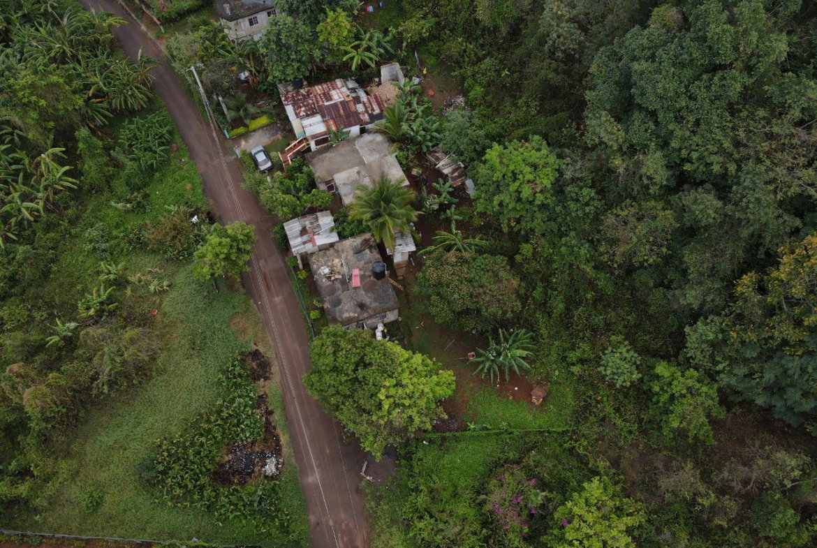 Twelfth image of 52 Puie Drive, Cardiff Hall in Runaway Bay, St. Ann, Jamaica - property is For Sale