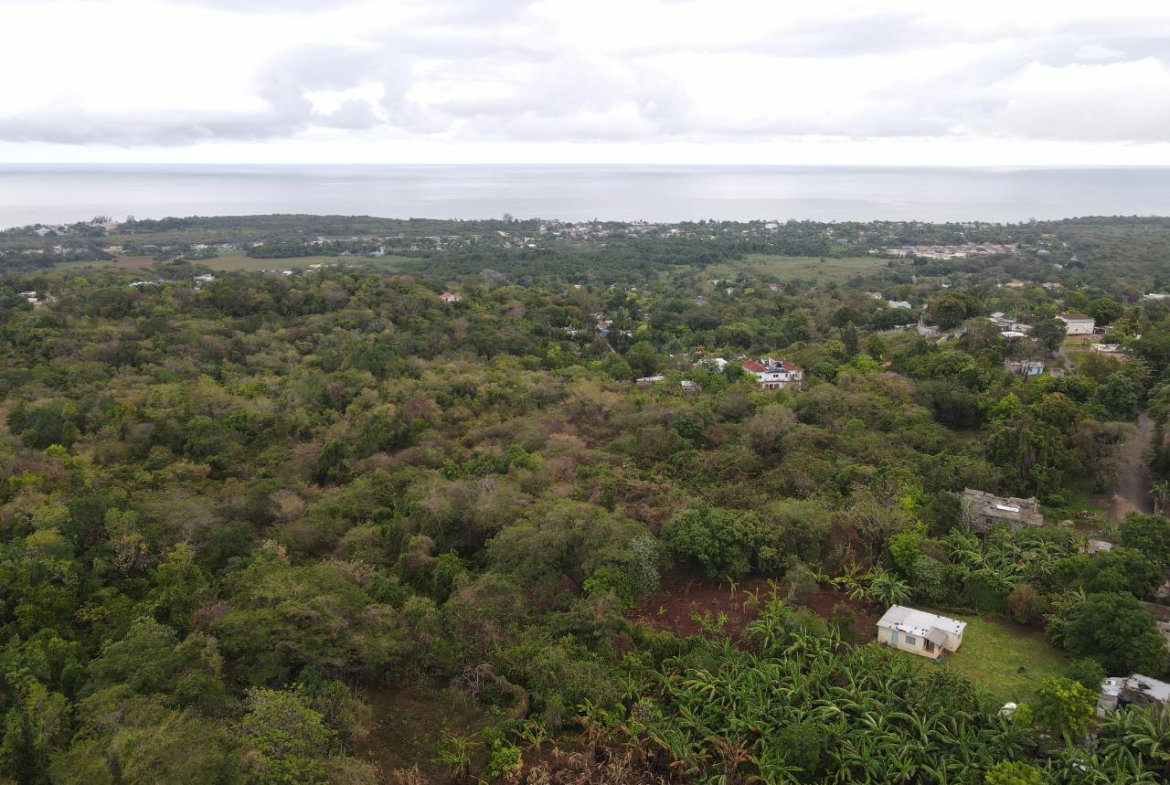 Thirteenth image of 52 Puie Drive, Cardiff Hall in Runaway Bay, St. Ann, Jamaica - property is For Sale