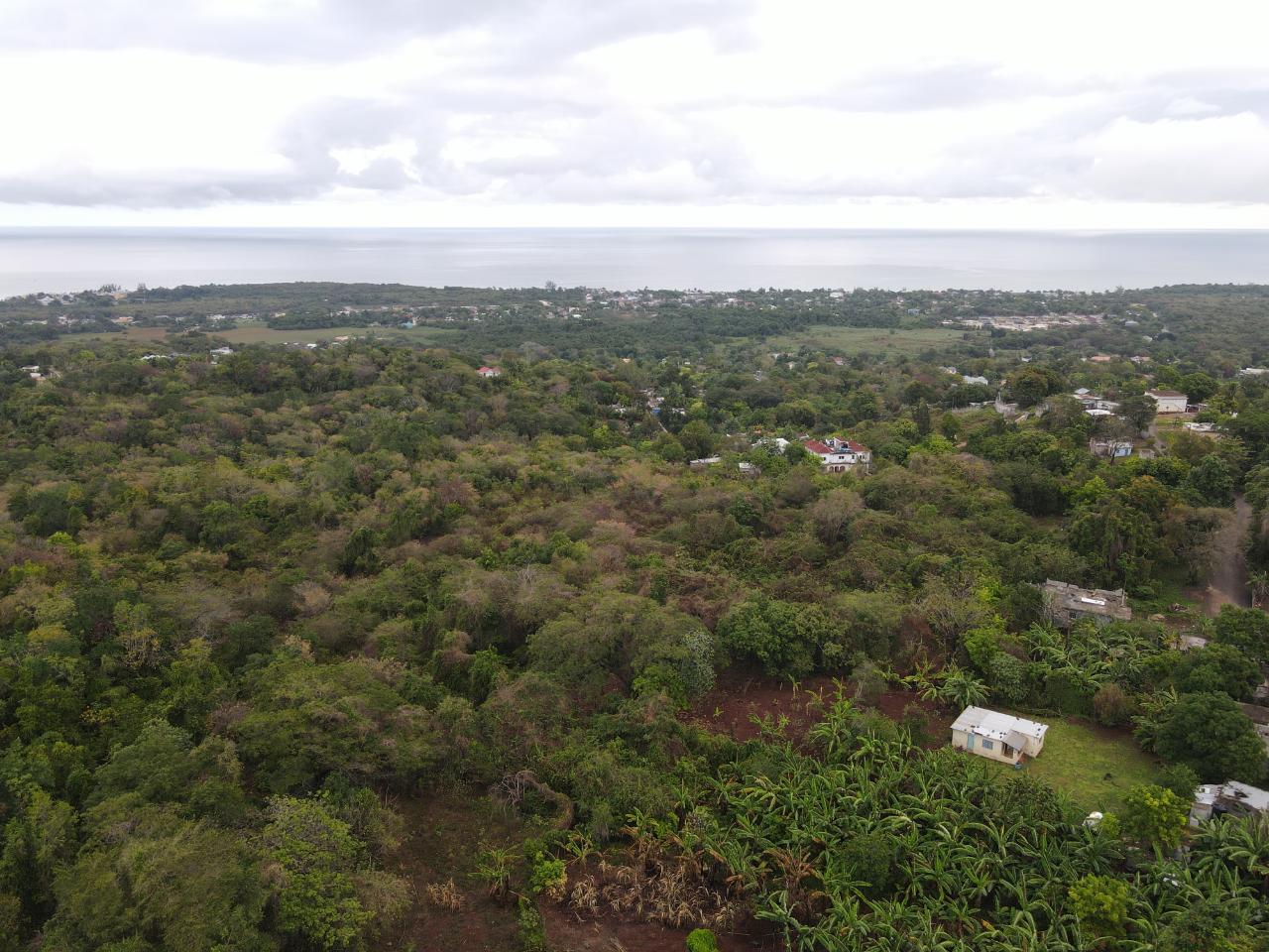 Thirteenth image of 52 Puie Drive, Cardiff Hall in Runaway Bay, St. Ann, Jamaica - property is For Sale