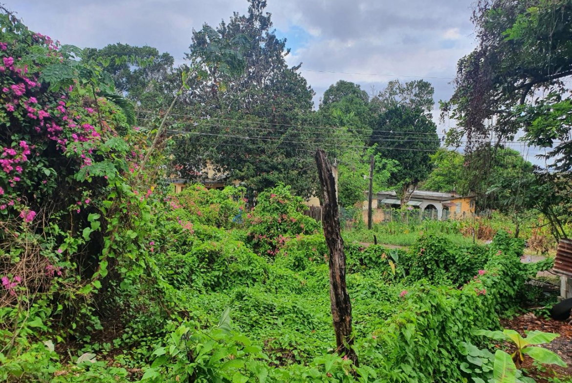 Third image of 52 Puie Drive, Cardiff Hall in Runaway Bay, St. Ann, Jamaica - property is For Sale