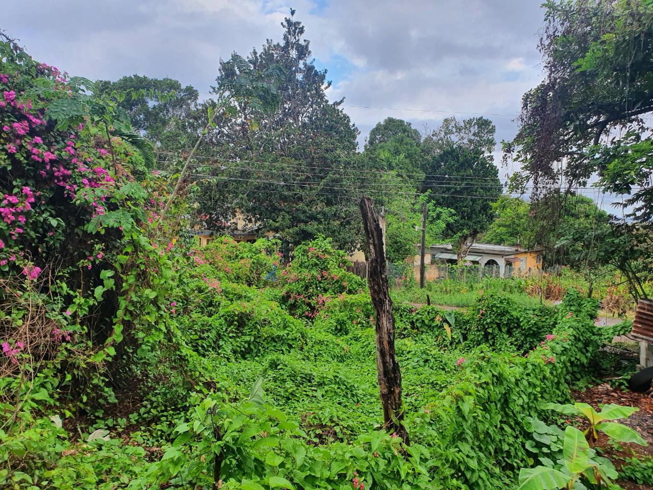 Third image of 52 Puie Drive, Cardiff Hall in Runaway Bay, St. Ann, Jamaica - property is For Sale