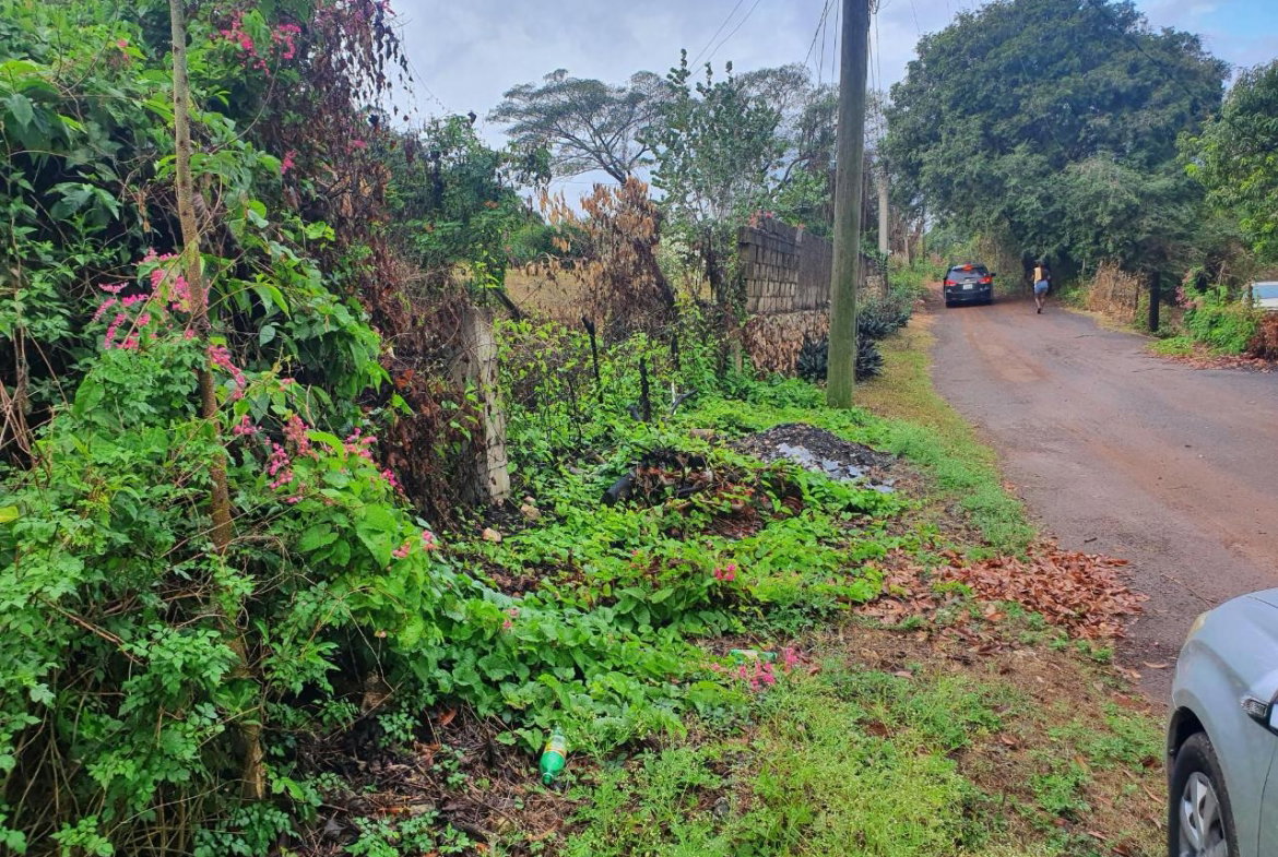 Seventh image of 52 Puie Drive, Cardiff Hall in Runaway Bay, St. Ann, Jamaica - property is For Sale