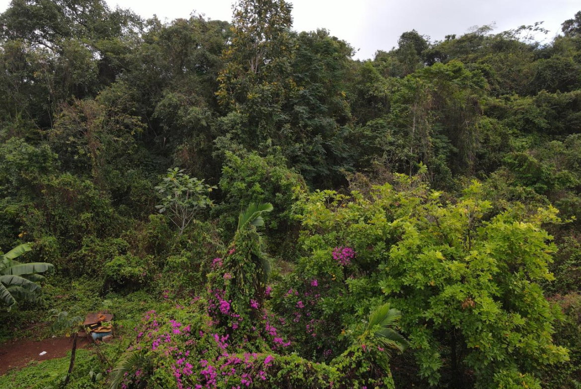 Eighth image of 52 Puie Drive, Cardiff Hall in Runaway Bay, St. Ann, Jamaica - property is For Sale