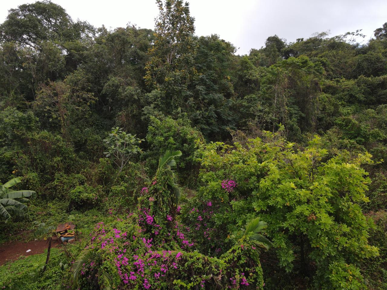 Eighth image of 52 Puie Drive, Cardiff Hall in Runaway Bay, St. Ann, Jamaica - property is For Sale