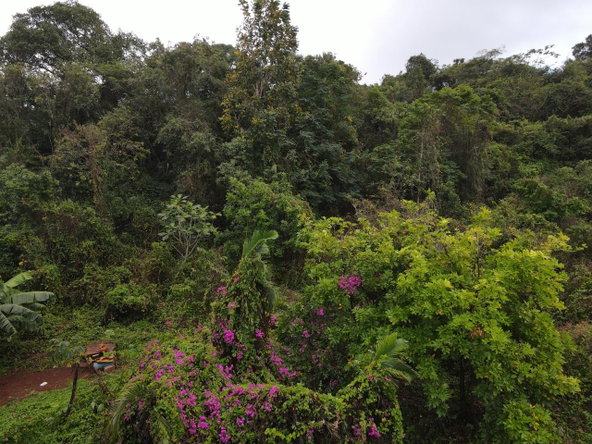 Eighth image of 52 Puie Drive, Cardiff Hall in Runaway Bay, St. Ann, Jamaica - property is For Sale