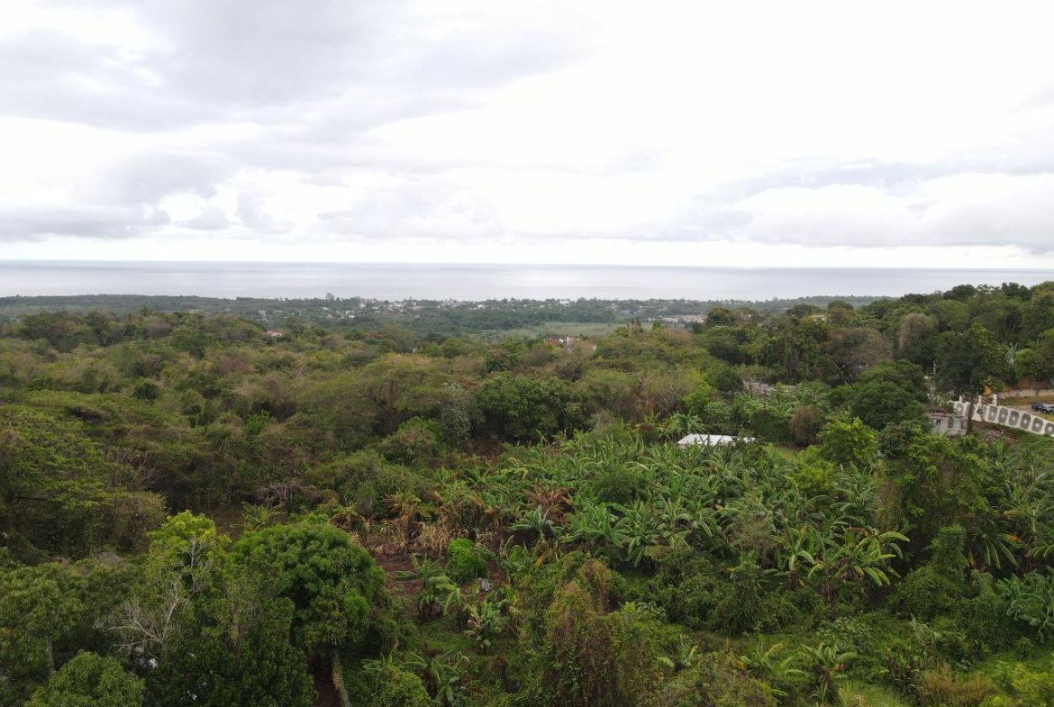 Tenth image of 52 Puie Drive, Cardiff Hall in Runaway Bay, St. Ann, Jamaica - property is For Sale