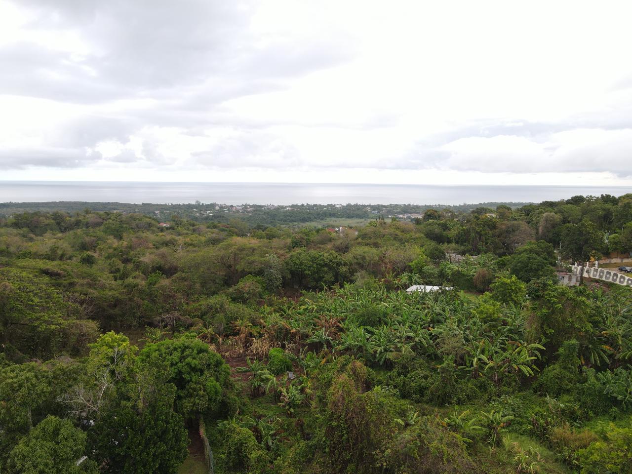 Tenth image of 52 Puie Drive, Cardiff Hall in Runaway Bay, St. Ann, Jamaica - property is For Sale