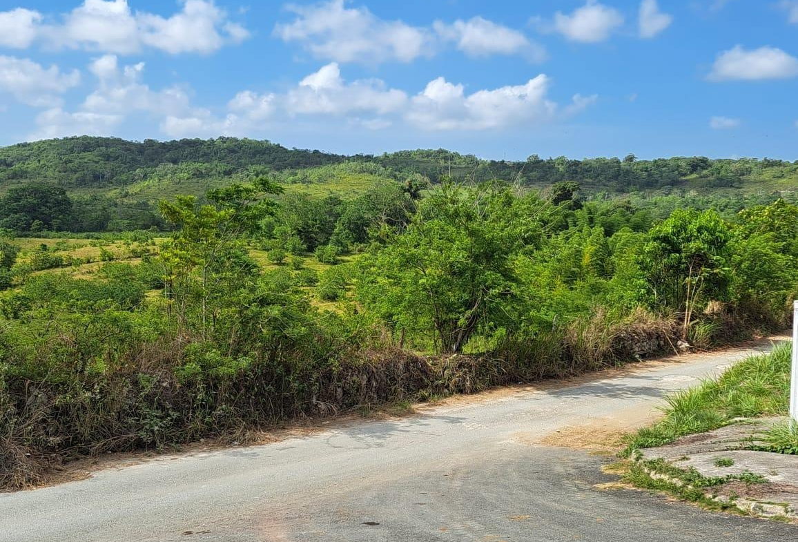 First image of 5 & 6 Walkerswood, st Ann, in Ocho Rios, St. Ann, Jamaica - property is For Sale