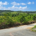First image of 5 & 6 Walkerswood, st Ann, in Ocho Rios, St. Ann, Jamaica - property is For Sale