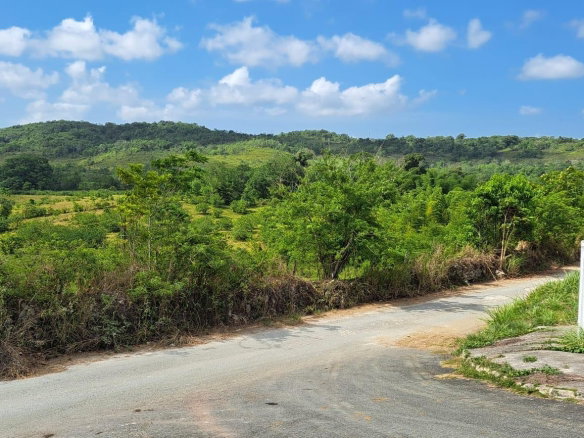 First image of 5 & 6 Walkerswood, st Ann, in Ocho Rios, St. Ann, Jamaica - property is For Sale
