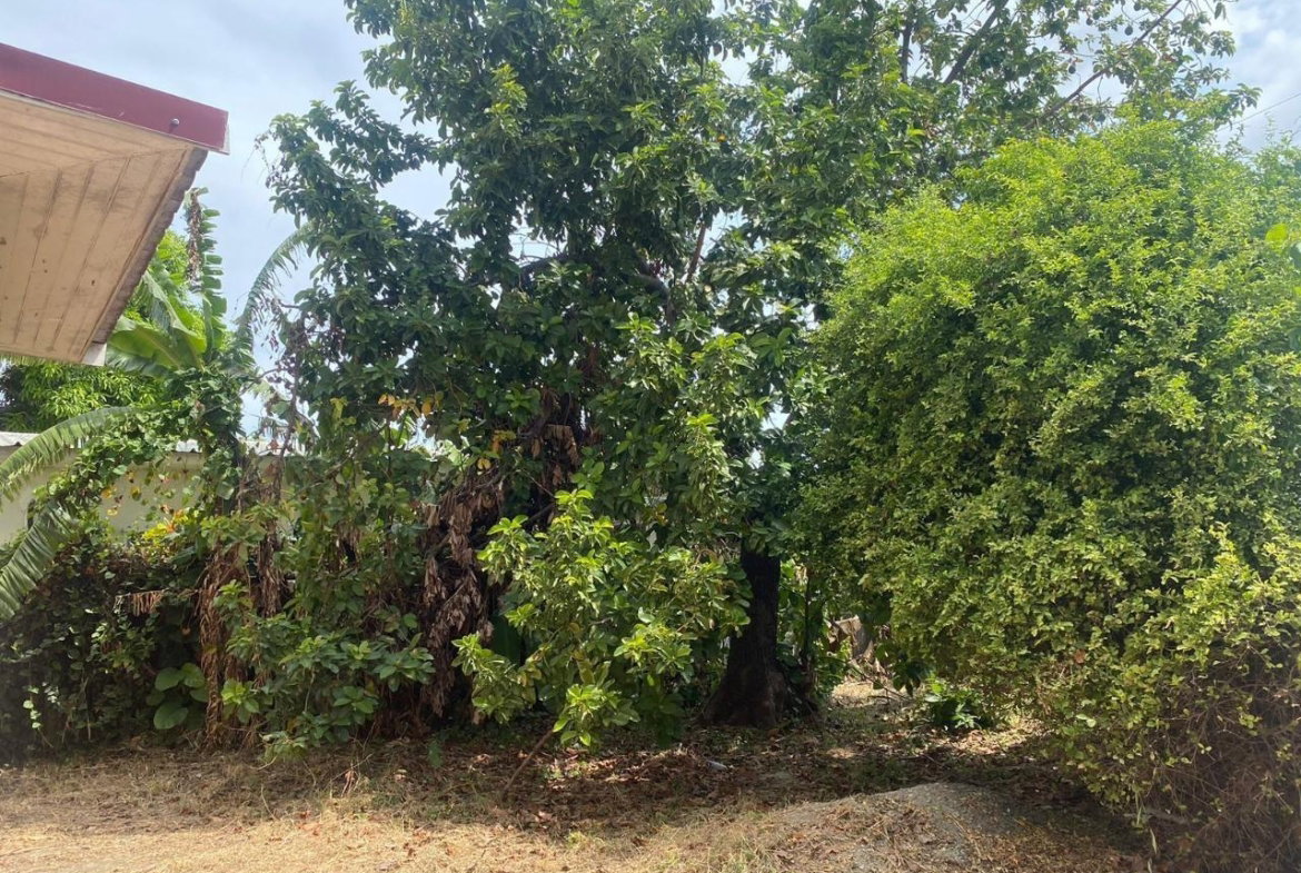 Twelfth image of 8 Lucine Avenue, Constant s in CONSTANT SPRING, St. Andrew, Jamaica - property is For Sale