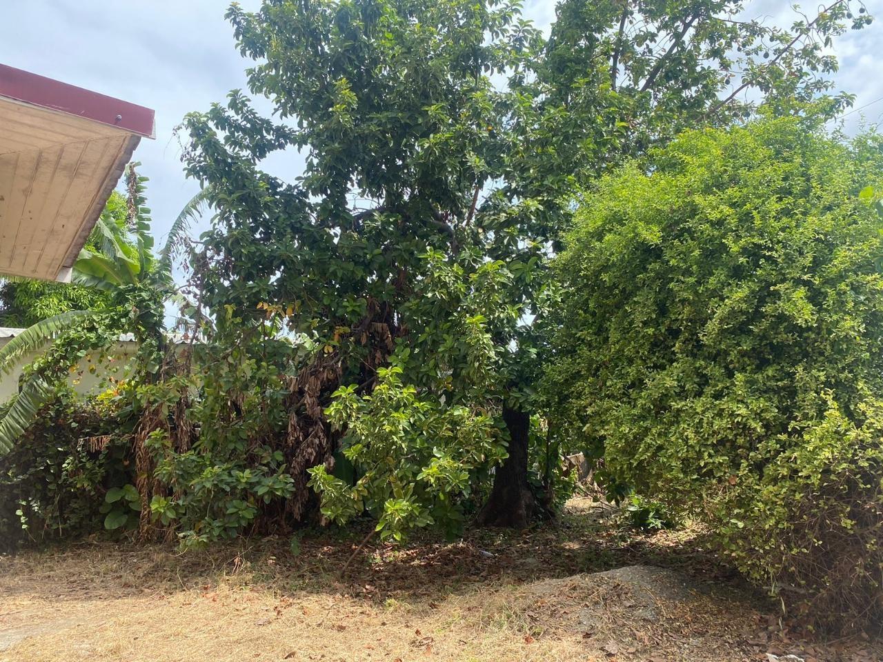 Twelfth image of 8 Lucine Avenue, Constant s in CONSTANT SPRING, St. Andrew, Jamaica - property is For Sale
