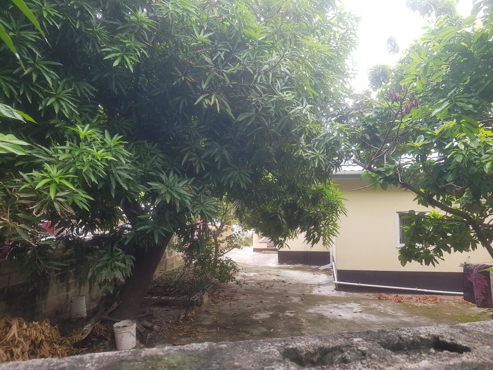 Sixth image of 21 Hathaway Drive, Havendale in Kingston 19, St. Andrew, Jamaica - property is For Sale
