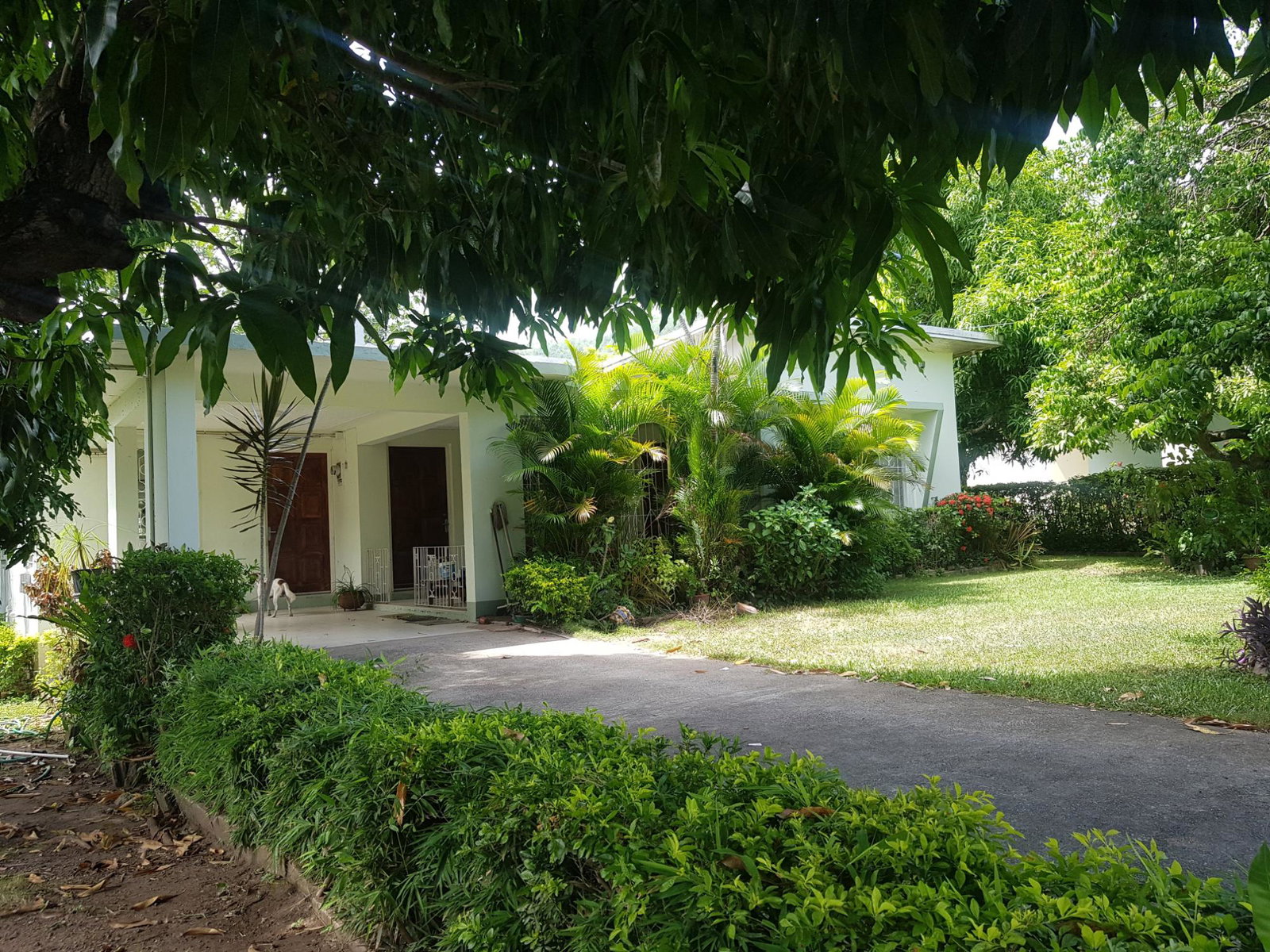 Spacious-4-Bedroom-Home-for-Sale-in-Kingston-6-Rare-Find Second image of 16 Armon Jones Crescent in Barbican, St. Andrew, Jamaica - property is For Sale