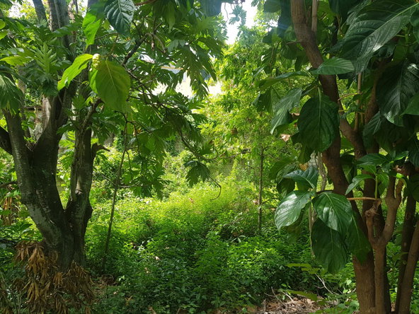Fifteenth image of 16 Armon Jones Crescent in Barbican, St. Andrew, Jamaica - property is For Sale