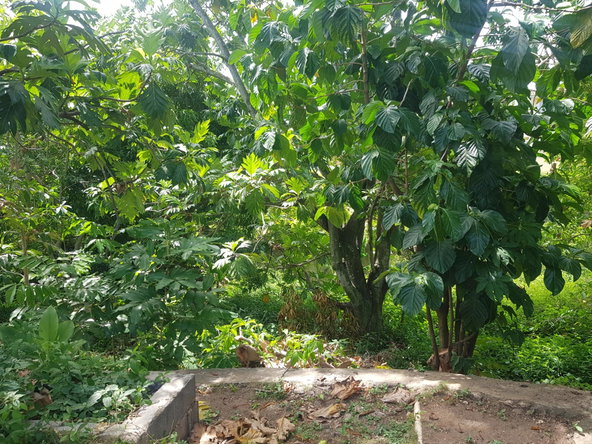Sixteenth image of 16 Armon Jones Crescent in Barbican, St. Andrew, Jamaica - property is For Sale