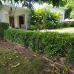 First image of 16 Armon Jones Crescent in Barbican, St. Andrew, Jamaica - property is For Sale
