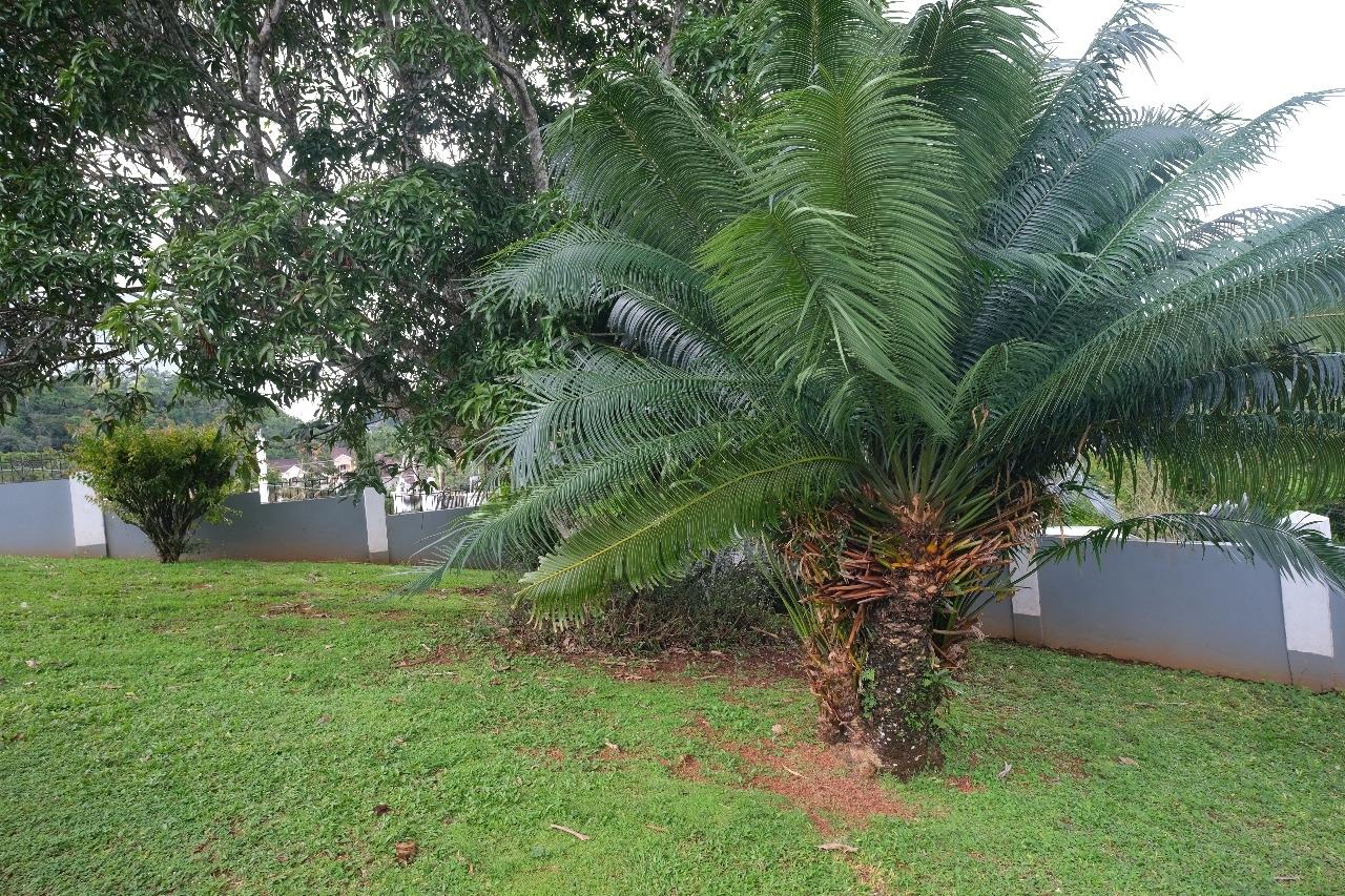 Twenty-Sixth image of Lot/apt 4- Part of Brumalia in Mandeville, Manchester, Jamaica - property is For Sale