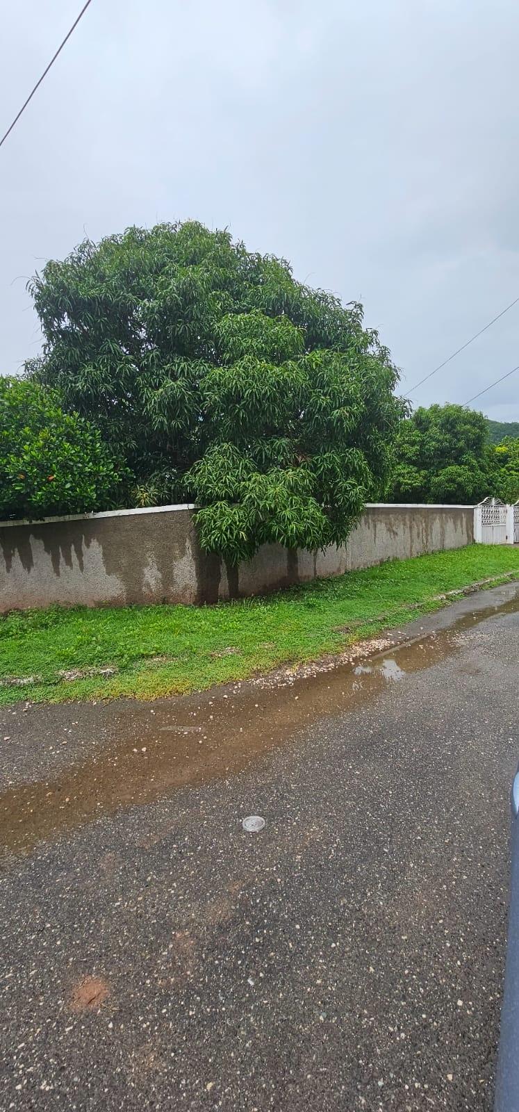 Fifteenth image of 7 Montery Avenue in Kingston 20, St. Andrew, Jamaica - property is For Sale