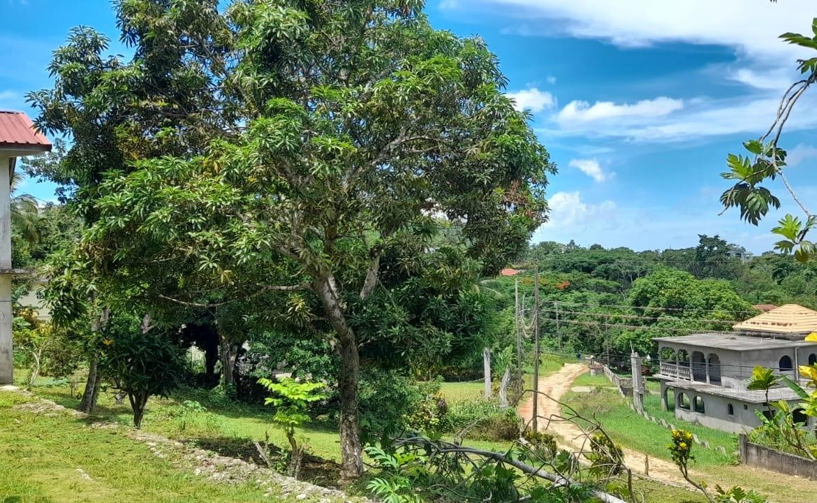 Twelfth image of Huntley - Browns Town in Browns Town, St. Ann, Jamaica - property is For Sale