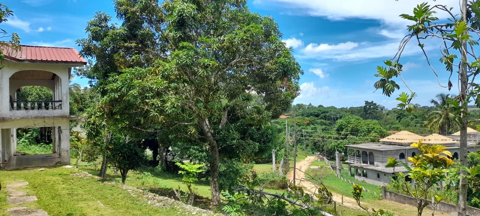 Twelfth image of Huntley - Browns Town in Browns Town, St. Ann, Jamaica - property is For Sale