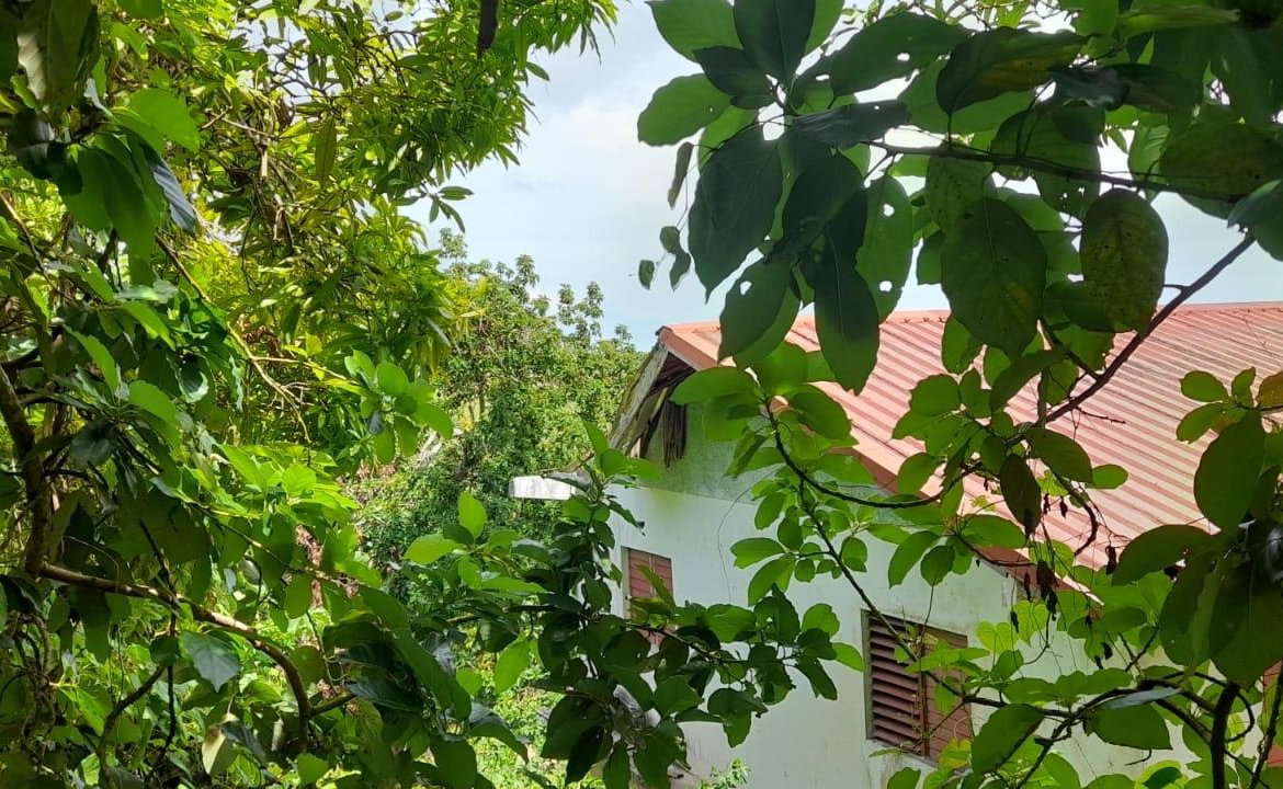 Sixteenth image of Huntley - Browns Town in Browns Town, St. Ann, Jamaica - property is For Sale