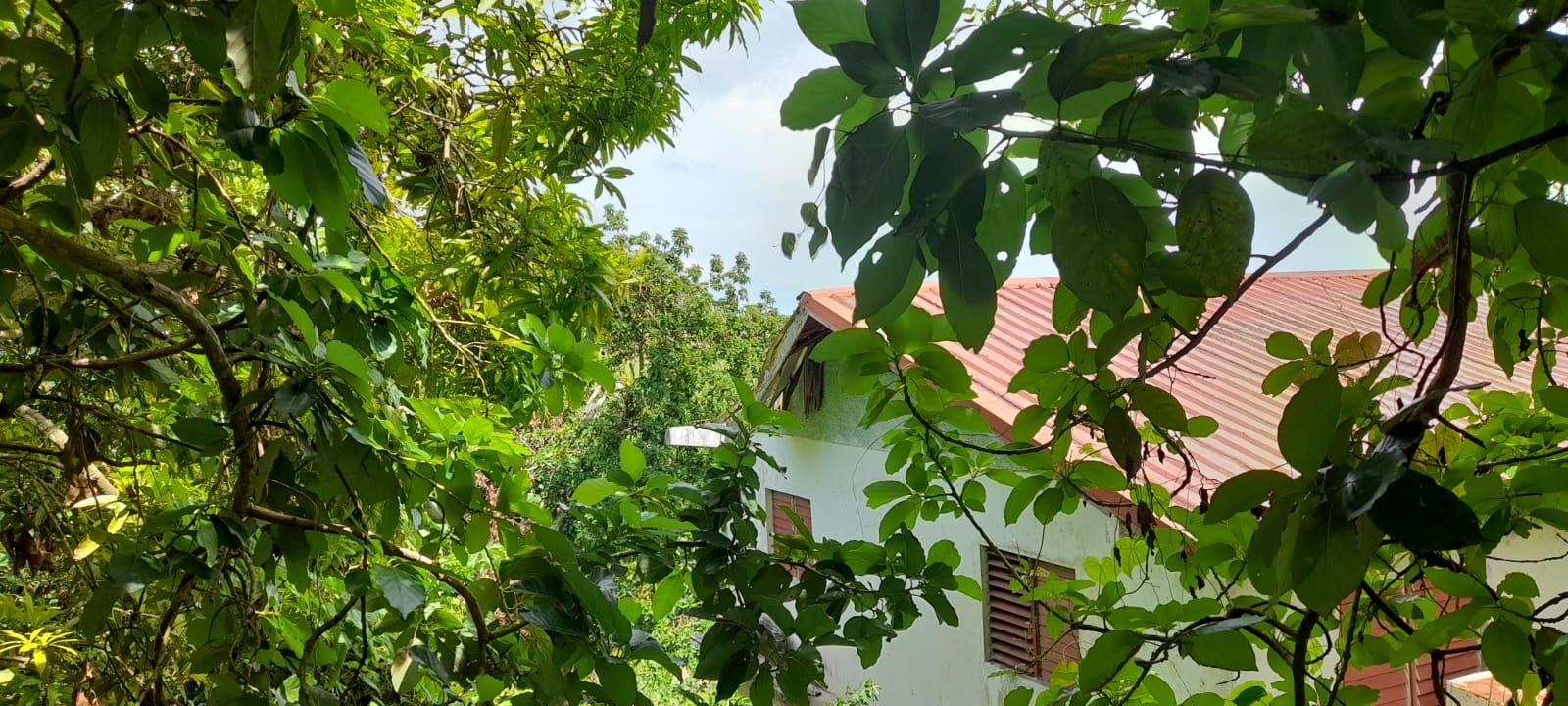 Sixteenth image of Huntley - Browns Town in Browns Town, St. Ann, Jamaica - property is For Sale