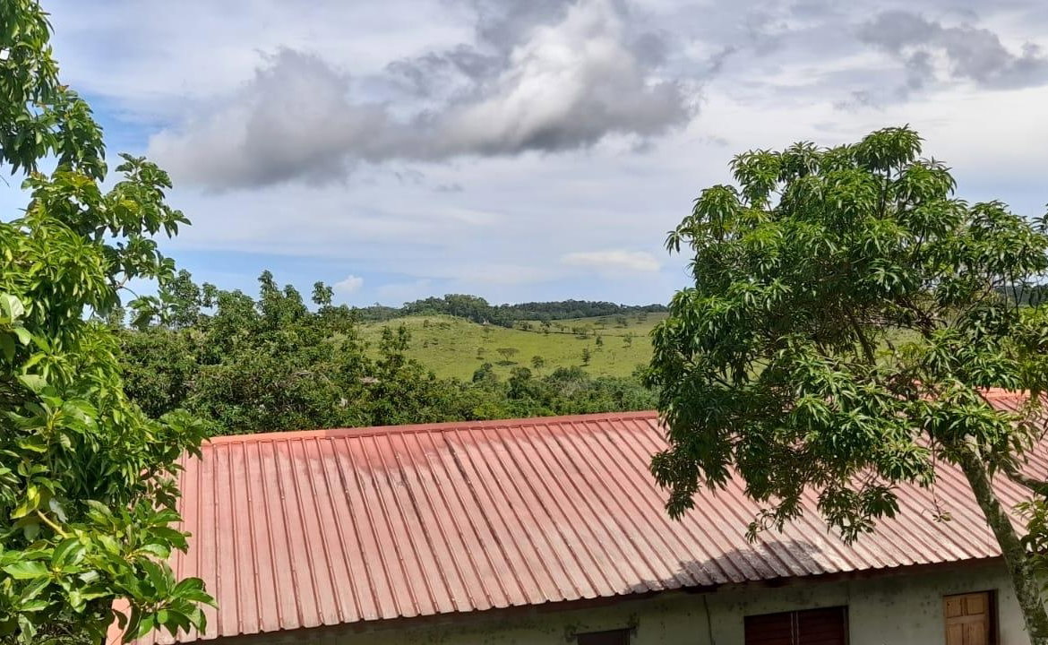 Nineteenth image of Huntley - Browns Town in Browns Town, St. Ann, Jamaica - property is For Sale