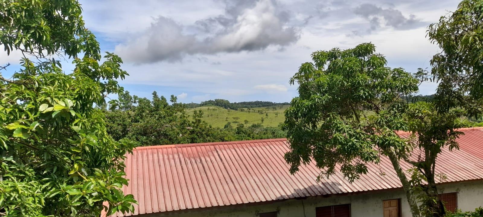 Nineteenth image of Huntley - Browns Town in Browns Town, St. Ann, Jamaica - property is For Sale