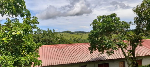 Nineteenth image of Huntley - Browns Town in Browns Town, St. Ann, Jamaica - property is For Sale