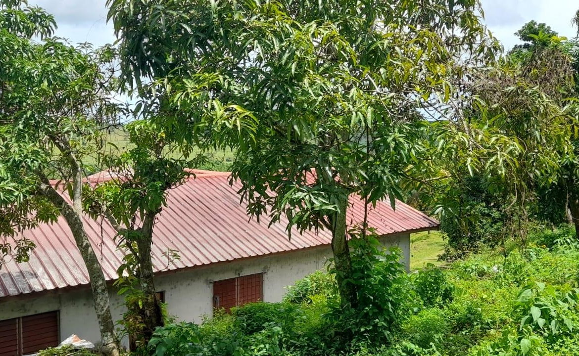 Twentieth image of Huntley - Browns Town in Browns Town, St. Ann, Jamaica - property is For Sale