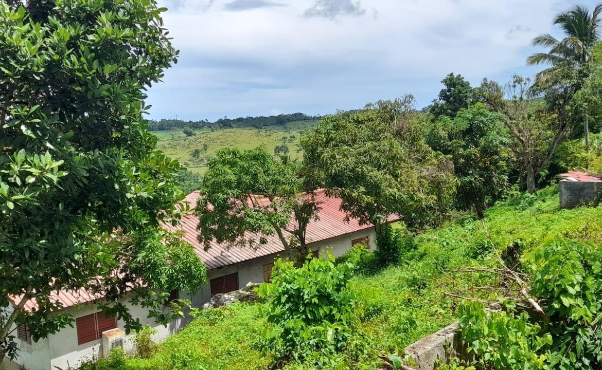Twenty-First image of Huntley - Browns Town in Browns Town, St. Ann, Jamaica - property is For Sale