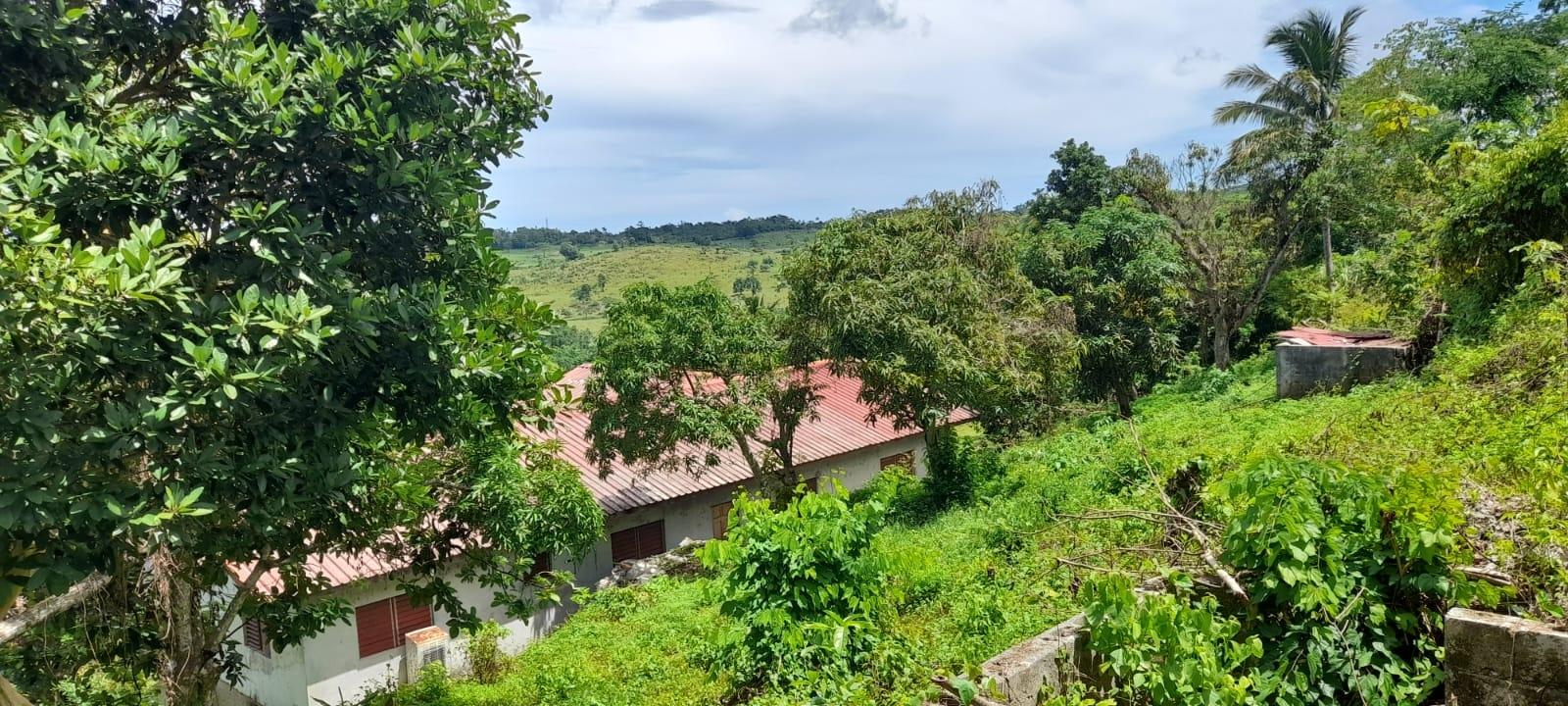 Twenty-First image of Huntley - Browns Town in Browns Town, St. Ann, Jamaica - property is For Sale