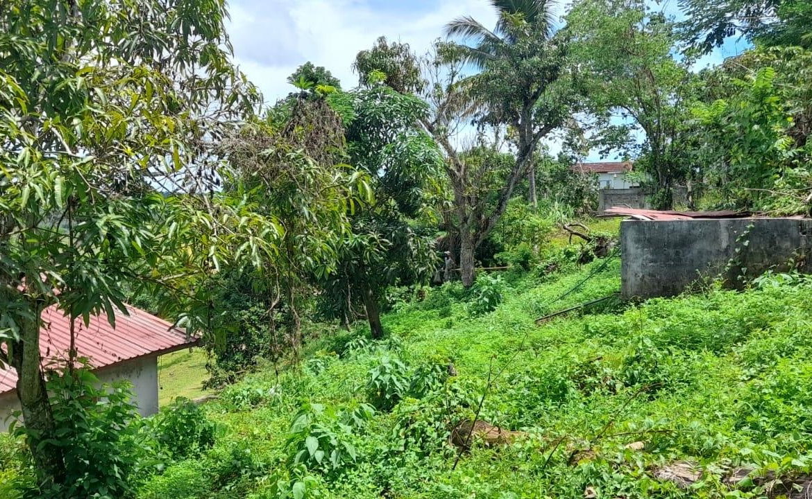 Twenty-Second image of Huntley - Browns Town in Browns Town, St. Ann, Jamaica - property is For Sale
