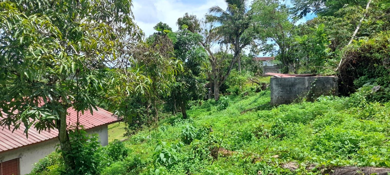 Twenty-Second image of Huntley - Browns Town in Browns Town, St. Ann, Jamaica - property is For Sale