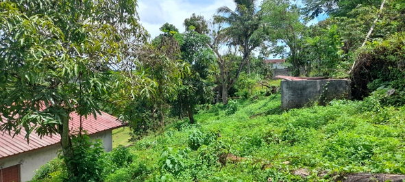 Twenty-Second image of Huntley - Browns Town in Browns Town, St. Ann, Jamaica - property is For Sale