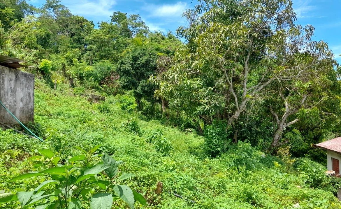 Twenty-Third image of Huntley - Browns Town in Browns Town, St. Ann, Jamaica - property is For Sale