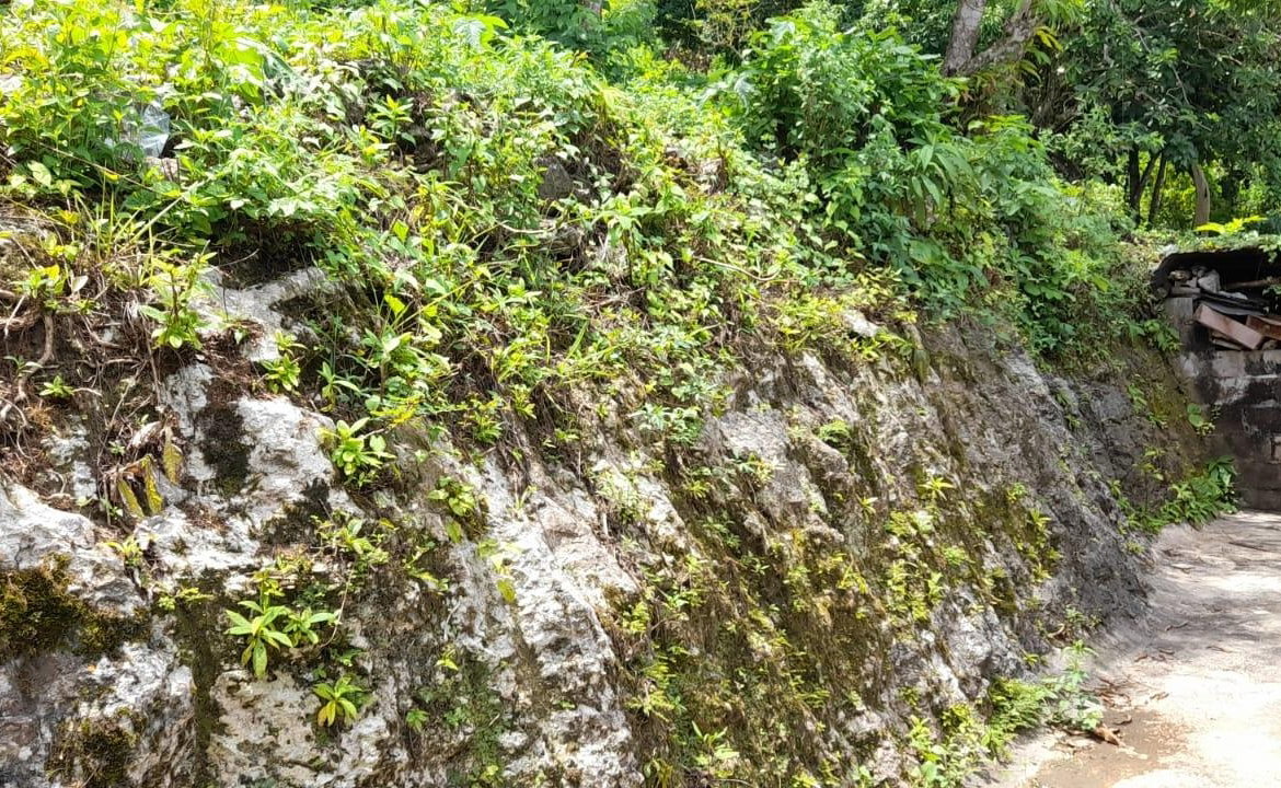 Twenty-Fourth image of Huntley - Browns Town in Browns Town, St. Ann, Jamaica - property is For Sale