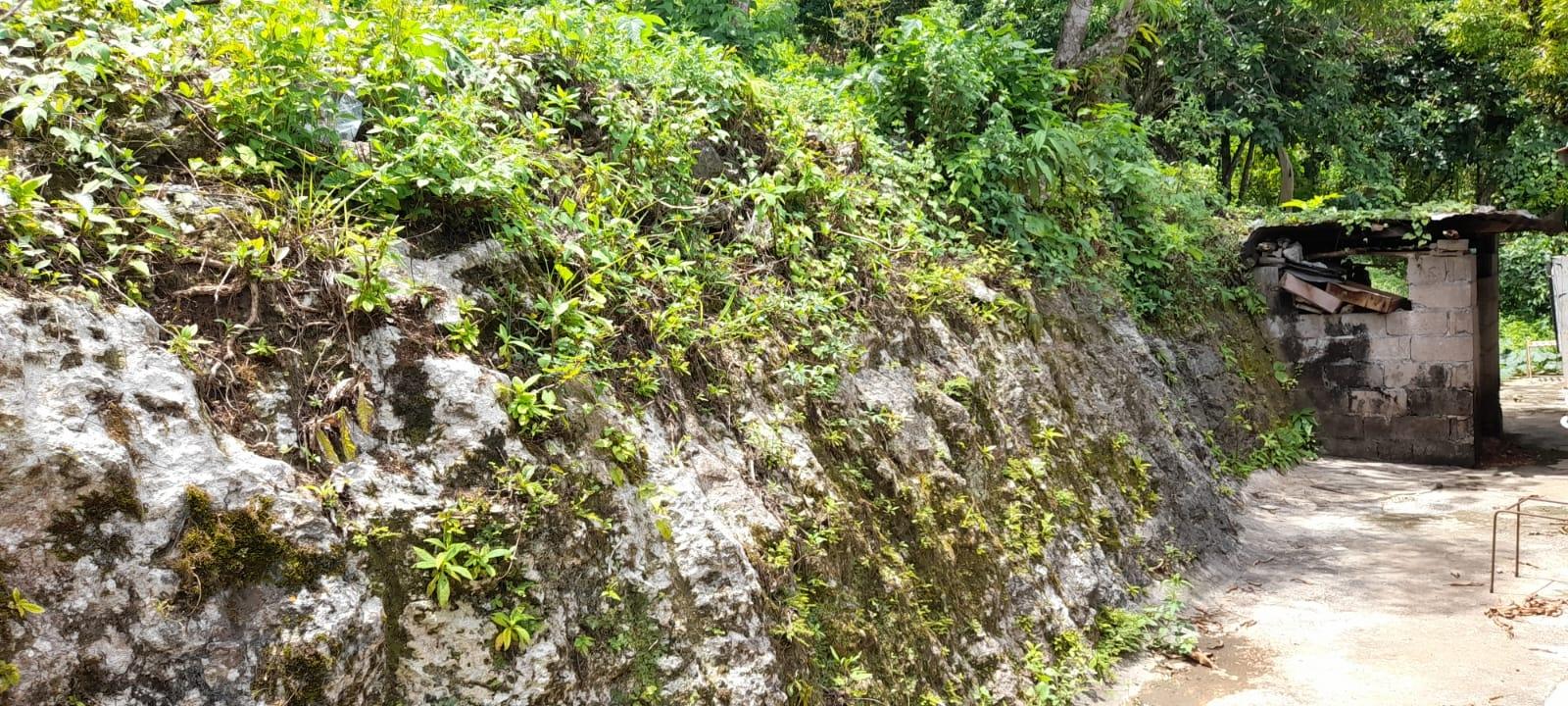 Twenty-Fourth image of Huntley - Browns Town in Browns Town, St. Ann, Jamaica - property is For Sale