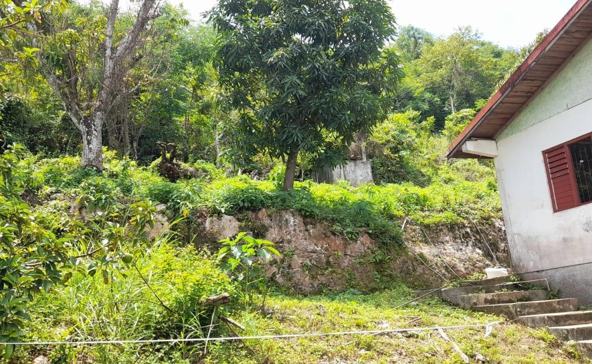 Twenty-Eighth image of Huntley - Browns Town in Browns Town, St. Ann, Jamaica - property is For Sale